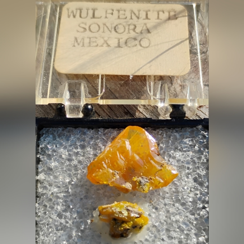 Wulfenite Crystal 17 mm From Sonora Mine In Mexico
